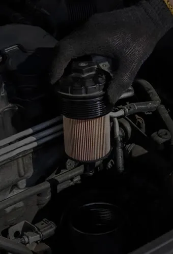 Fuel System Cleaning  