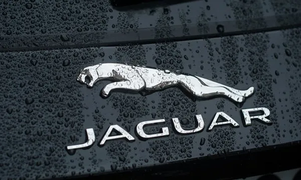 Jaguar Repair Serives